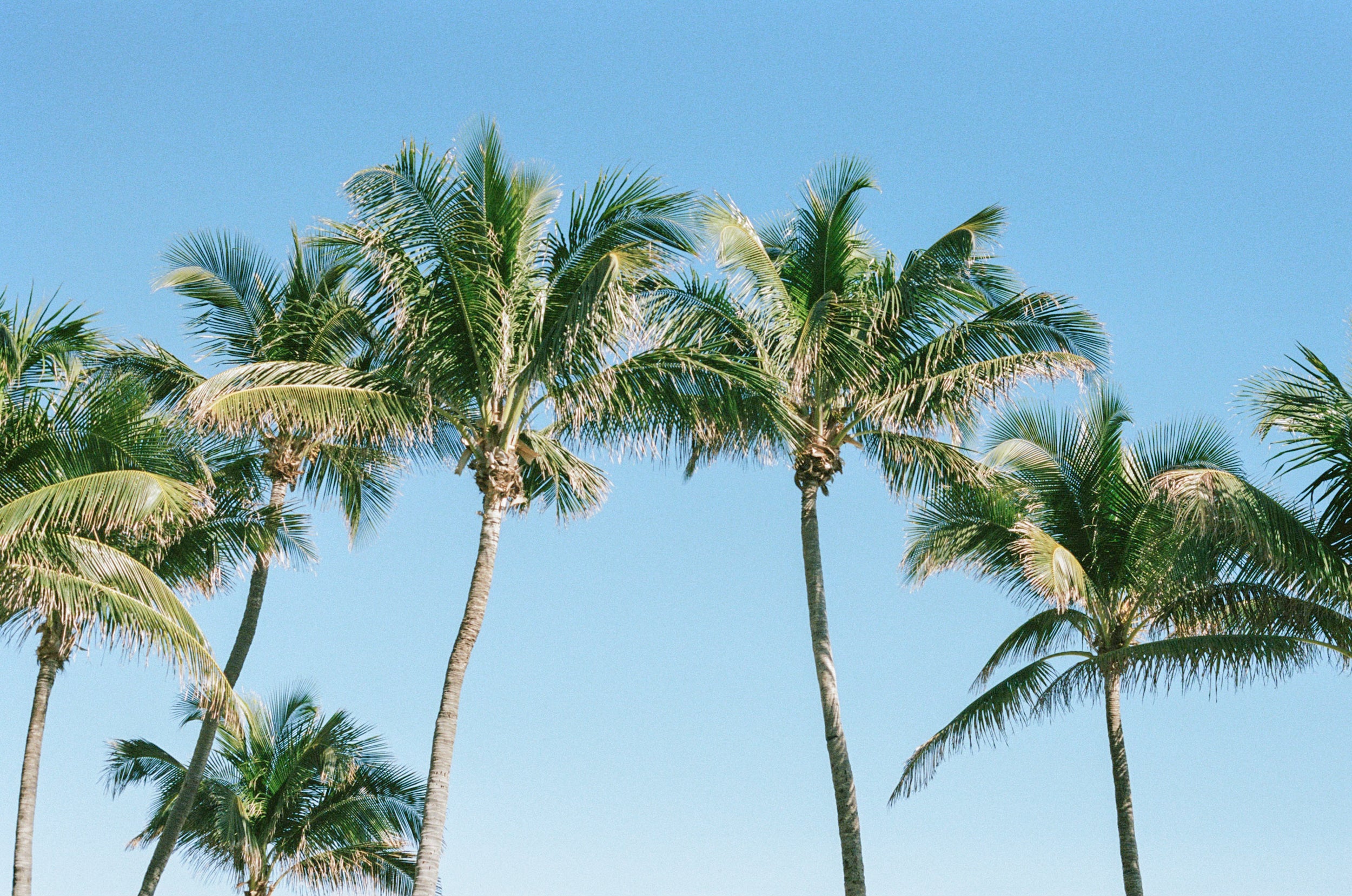 Designed in the Heart of Palm Beach